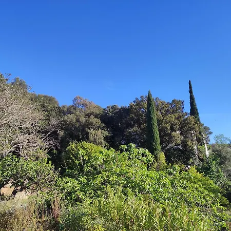 Ferienwohnung Bastide Provencale Vue Mer A 5 Min De La Plage Sanary-sur-Mer Zimmer foto